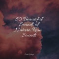 Sleeping Music、Relaxing Nature Music、Gentle Rain Makers - Rain, Light, Forest