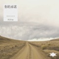 阿涛Vat - 你的承诺
