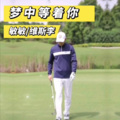 维斯李 - 梦中等着你