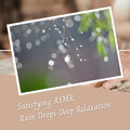 Rainfall、Dog Sleep Academy、Calm Work from Home - Calm Distant Thunder