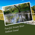 Spa Station、Meditation Music For Relaxation、Night Sounds Association - Peaceful Stream River Ambient Sound - 2 Hours