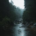 Musicoterapia de Ruido Blanco、Sonidos para Dormir Bebé、Sueño del bebé con ruido blanco - Meditación Suave Ruido Marrón