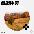 小登登 - 天下有情人 (Demo)