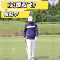 维斯李 - 彩蝶双飞