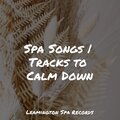 Best Relaxing Spa Music、Meditation Relaxation Club、Rain Sounds、Academia de Relaxamento e Meditação、Nature Sounds - Pondering Thoughts