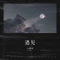 不爱吃鱼的猫 - 遇见