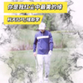 维斯李 - 你是我红尘中最美的缘