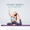 Chinese Yang Qin Relaxation Man - Mental Focus