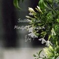 Rain In Spain、Music For Stress Relief、Work Music - Soothing Rain Mindful Relaxation Vol. 1 - 1 Hour