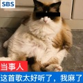 张驰同学 - 蛋糕