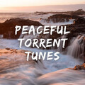 Chill Hop Beats、Message Therapy Music、Sleep Therapist - Nature Mind Chamber