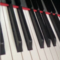 Frenzy - Sonata No. 1 in G Minor Op. 1 III. Allegro Distaccato