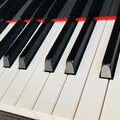 Frenzy - Finale in C Major Op. 1
