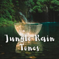Soft Music Playlisted、Rainfall、SPA - Undoubtful Feeling