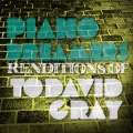 Piano Dreamers - Birds of the High Arctic