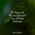 Musica Para Dormir y Sonidos de la Naturaleza、Canciones de Cuna Relax、Lluvia - Armonía Natural