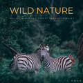 Work Music Playlist、The Forest Escape、528Hz Whole Body Regeneration - Wild Nature: Water, Winds And Forest Sounds To Relax - 1 Hour