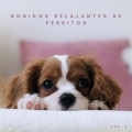 Calma Música para Perros、Relajado Musica Relajante para Perros、Música Para La Relajación - Alma De Fuego