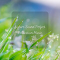 Rain Sounds FX、Bathtime Music、Music for Work Beats - Nature Sound Perfect Relaxation Music Vol. 1 - 2 Hours