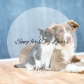 Dog Music Collective、1 Stunde Meditation、Home Alone Dog Music - ice River Relaxation for Pets