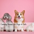 Cat Music、Sleep Music Dreams、Cat Music Studio - Relaxing ice Sounds for Dogs
