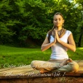 Native American Meditations、Reading Music Company、Relaxing Asian Spa Music - Green State of Mind