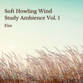 Deep Sleep Music Experience、Sleep Miracle、Music For Massage - Fire: Soft Howling Wind Study Ambience Vol. 1 - 1 Hour