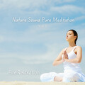 Spa Station、Sleep Music Play List、Relaxation Music Therapy - Fire Relaxation: Nature Sound Pure Meditation  Vol. 1 - 1 Hour
