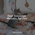 Music For Cats、Cat Music Experience、Cats Music Zone - An Inner Sunshine