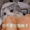 喵卟咻 - 认真的老去
