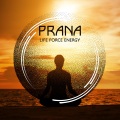 Namaste Healing Yoga - Morning Meditation and Yoga