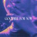Vndrxx、Sam Said、Francisco Reyes - Goodbye for Now (Sam Said Tribute) .