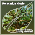 Relaxing Music by Dominik Agnello、Yoga、Meditation - Relaxation Music, Pt. 54