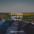 Sleep Sounds of Nature、Academia de Música para Massagem e Relaxamento、Chillout Lounge - Mindful Sleep
