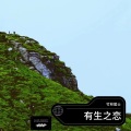 竹林居士 - 天际