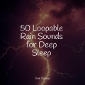 Nature Ambience、Massage Music、Trouble Sleeping Music Universe - Forest, Morning, Birds