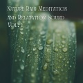 cloudy night、Rainforest Meditations、Massage Tribe、Perfect Meditation - Nature Rain Meditation and Relaxation Sound Vol. 1 - 1 Hour