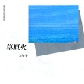 方冬冬 - 草原火
