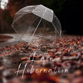Ambient Nature White Noise、Amazing Spa Music、Massage Music: Native American Flute - Black Cloud
