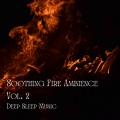 Baby Sleep Music、Deep Sleep Music Company、Cats Music Cradle - Deep Sleep Music: Soothing Fire Ambience Vol. 2 - 2 Hours