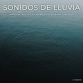 Lluvia para Dormir、Relajado Musica Relajante para Perros、Meditaciones Espirituales - Sonidos De Lluvia: Hermosa Música De Piano En Una Tarde Lluviosa - 3 Horas
