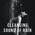 Rainy Day Music、Soothing White Noise for Best Relax、The White Noise Zen & Meditation Sound Lab - Rain Shower Morning
