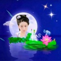 忘忧草 - 甘心情愿爱着你