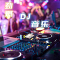 北方以北 - 《风雨飘洒》 (DJ 热歌串烧版)