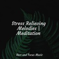 Relaxing Music Therapy、Classical Study Music、Deep Sleep Music Experience - A Glimpse of Mantra