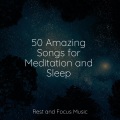 Tonal Meditation Collective、Meditation Relaxation Club、Chillout Lounge - Mellow Marshes