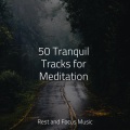 Asian Zen: Spa Music Meditation、Smart Baby Lullaby、Binaural Beats Brain Waves Isochronic Tones Brain Wave Entrainment - Foggy Clouds