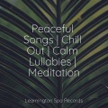 Sounds Of Nature : Thunderstorm, Rain、nature & Sounds Background、Relaxing Music - Forest Nature