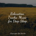 Pacific Rim Nature Sounds、Loopable Sounds for Babies、Música Zen Relaxante - Sleeping Music