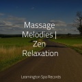 Best Kids Songs、Pet Care Music Therapy、Academia de Música con Sonidos de la Naturaleza - Massage Therapy